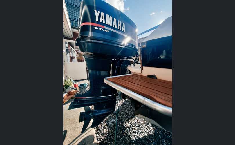 Flipper Flash 600 dc + traileri-kuva-1